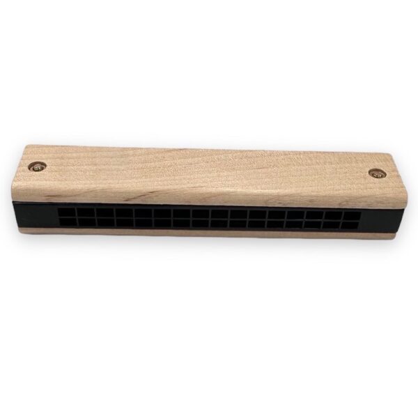 Φυσαρμόνικα