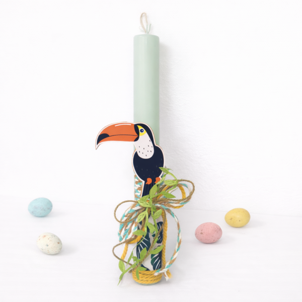 Toucan | Σειρά Jungle Animals