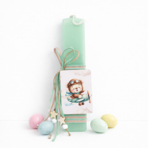 Αρκουδάκι πιλότος